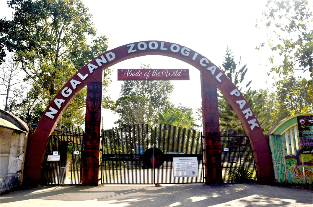 Exploring the Rich Biodiversity of Nagaland Zoological Park - 4Kerala