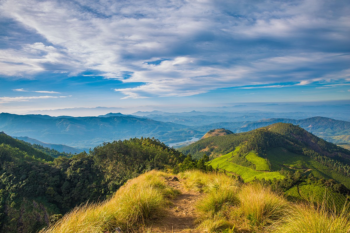 Kolukkumalai: Exploring The World's Highest Tea Estate - 4kerala