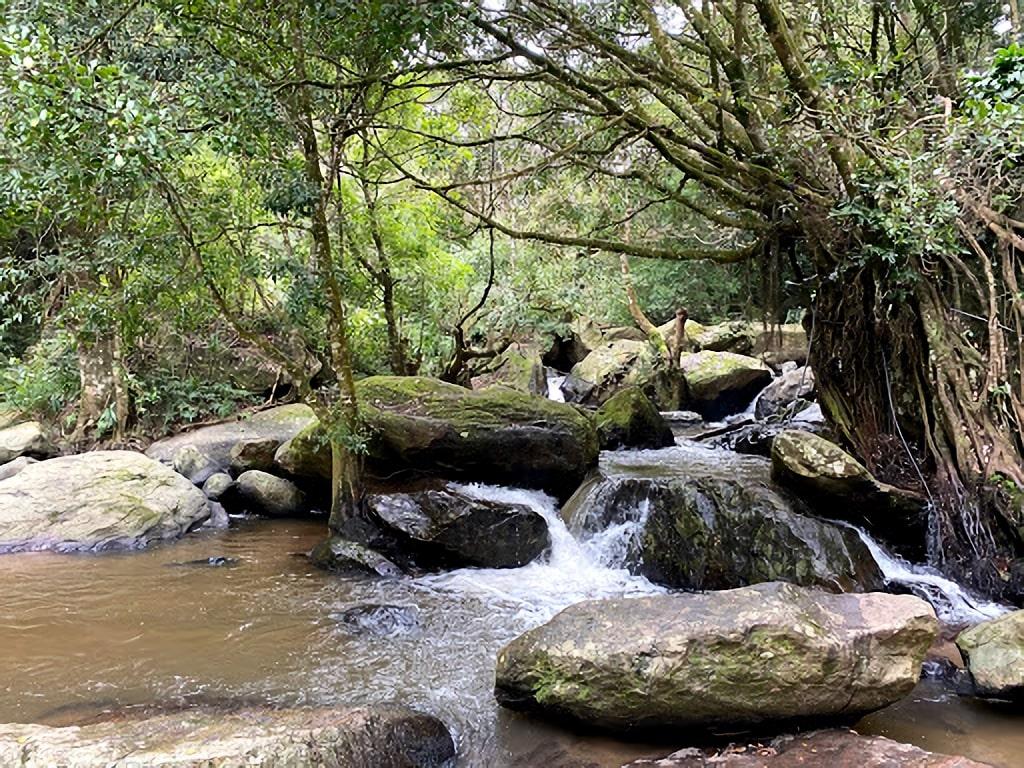 Discovering the Enchantment of Chilandhiyar Waterfall in Vattavada ...