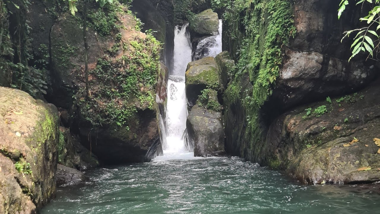 Discovering Tranquility: KadavuPuzha Waterfalls in Moonnilavu, Kottayam ...